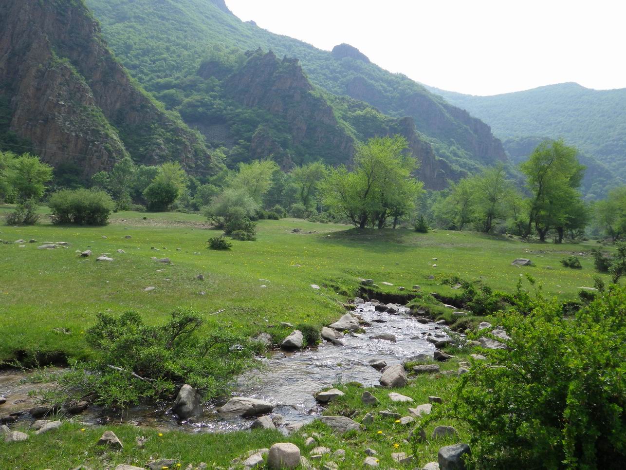 调整大小 IMGP0945.JPG