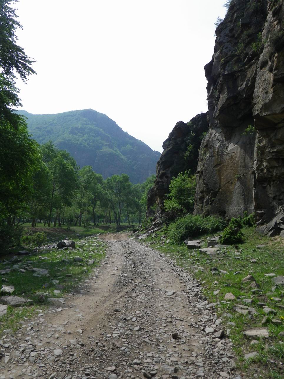 调整大小 IMGP0947.JPG