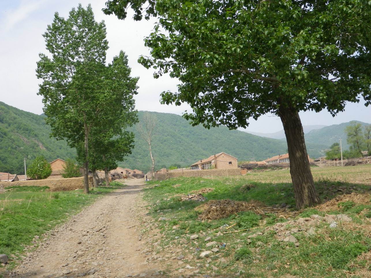 调整大小 IMGP0971.JPG