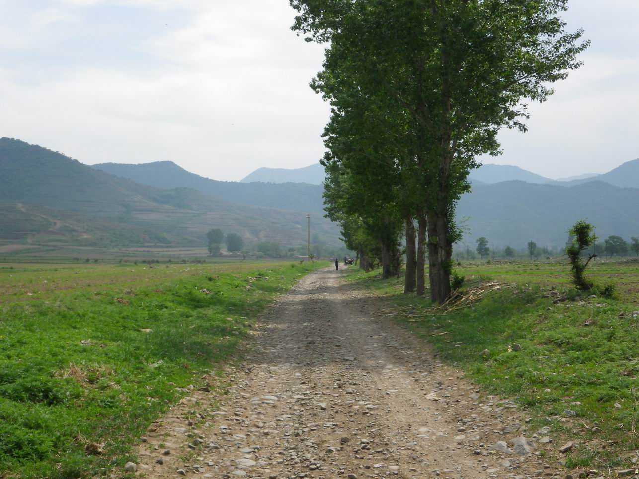 调整大小 IMGP0972.JPG