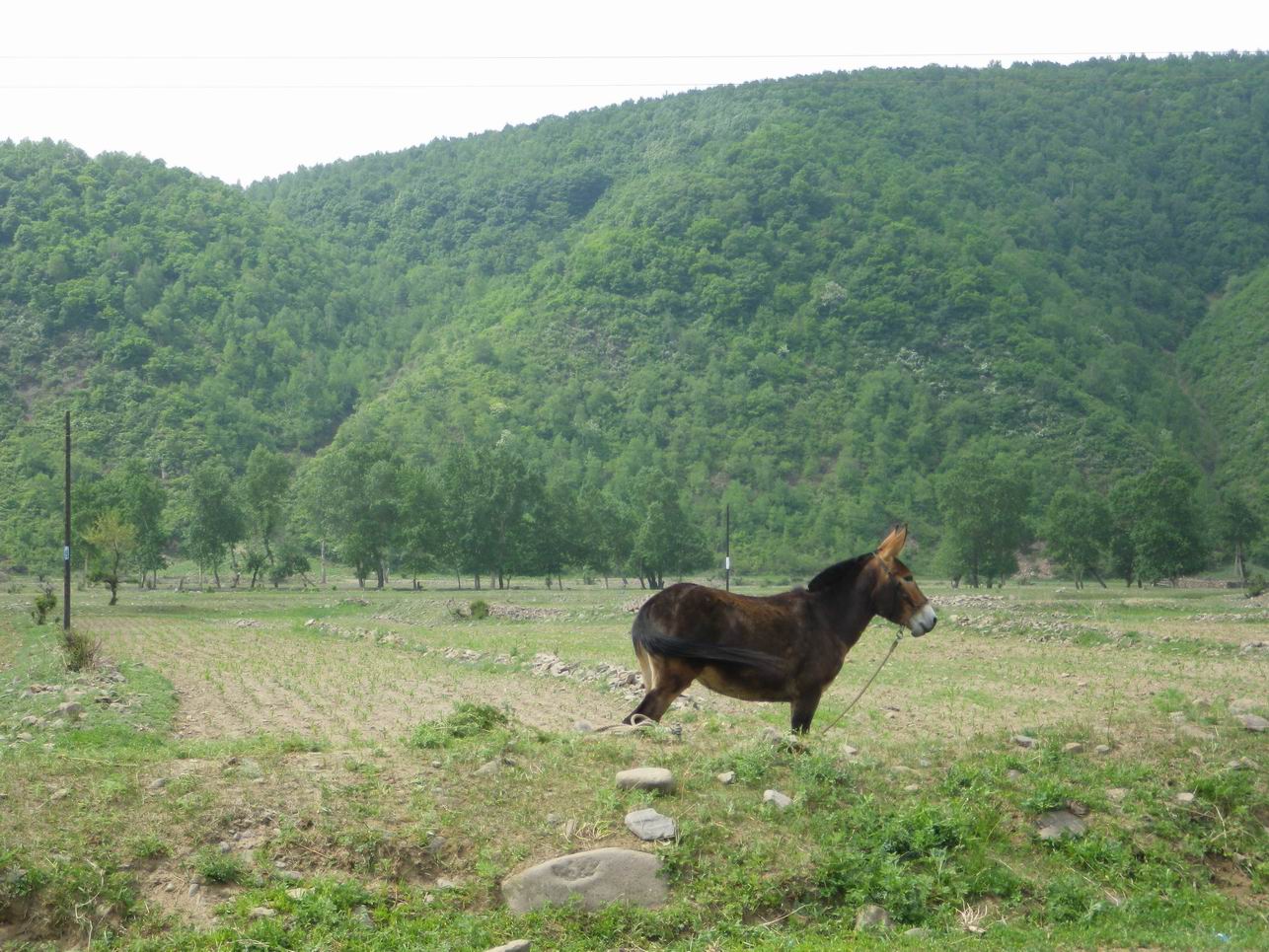 调整大小 IMGP0974.JPG