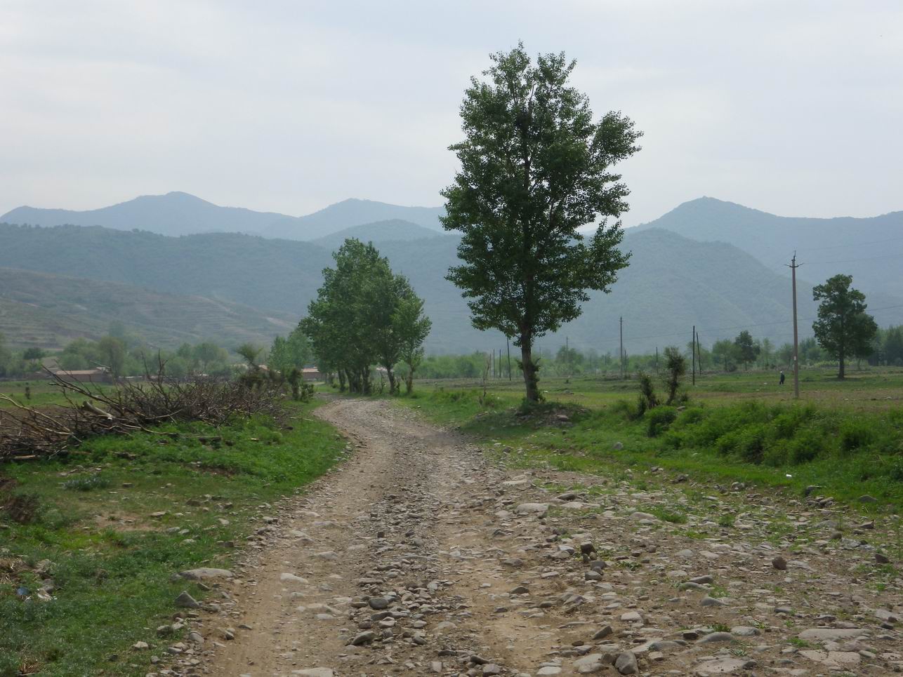 调整大小 IMGP0975.JPG