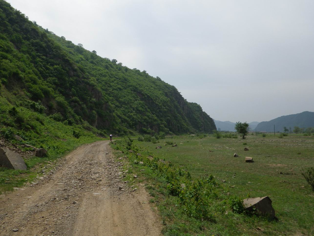 调整大小 IMGP0976.JPG