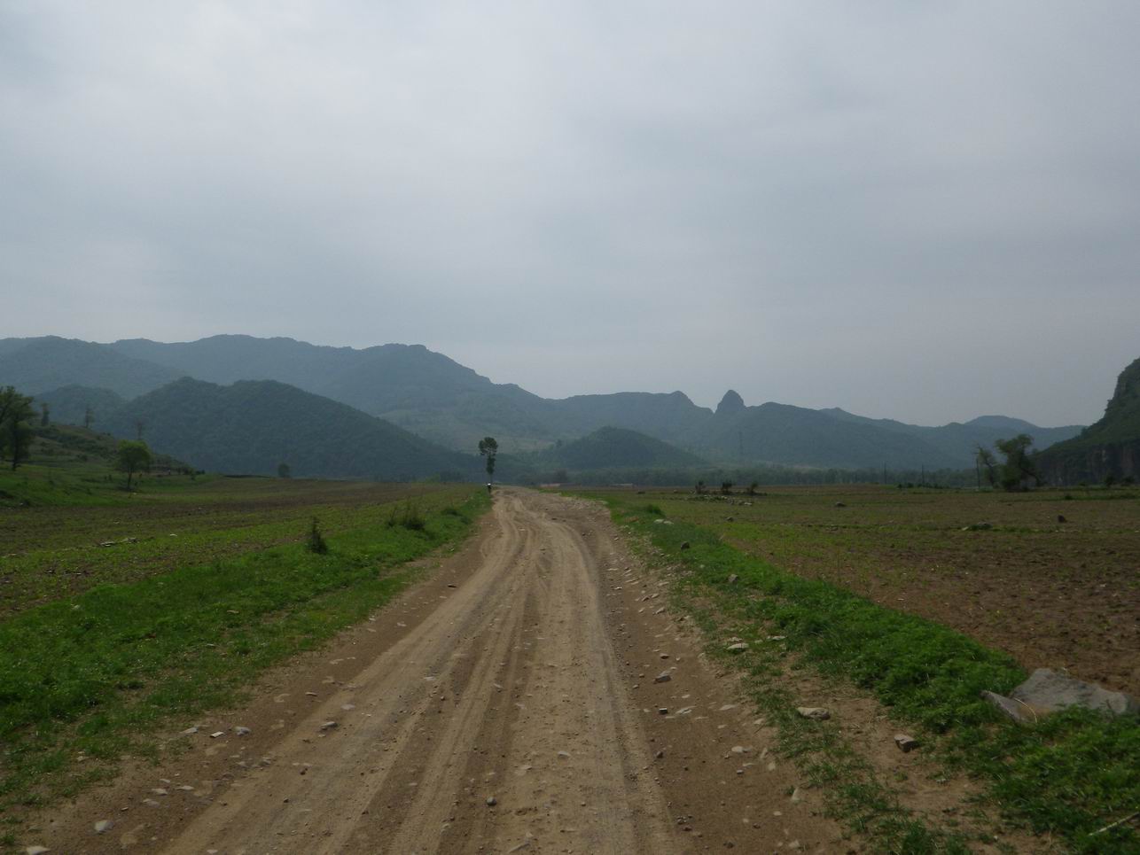 调整大小 IMGP0983.JPG