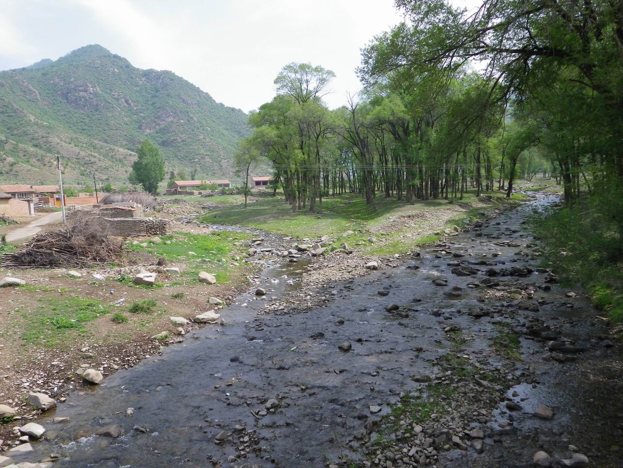 调整大小 IMGP0985.JPG