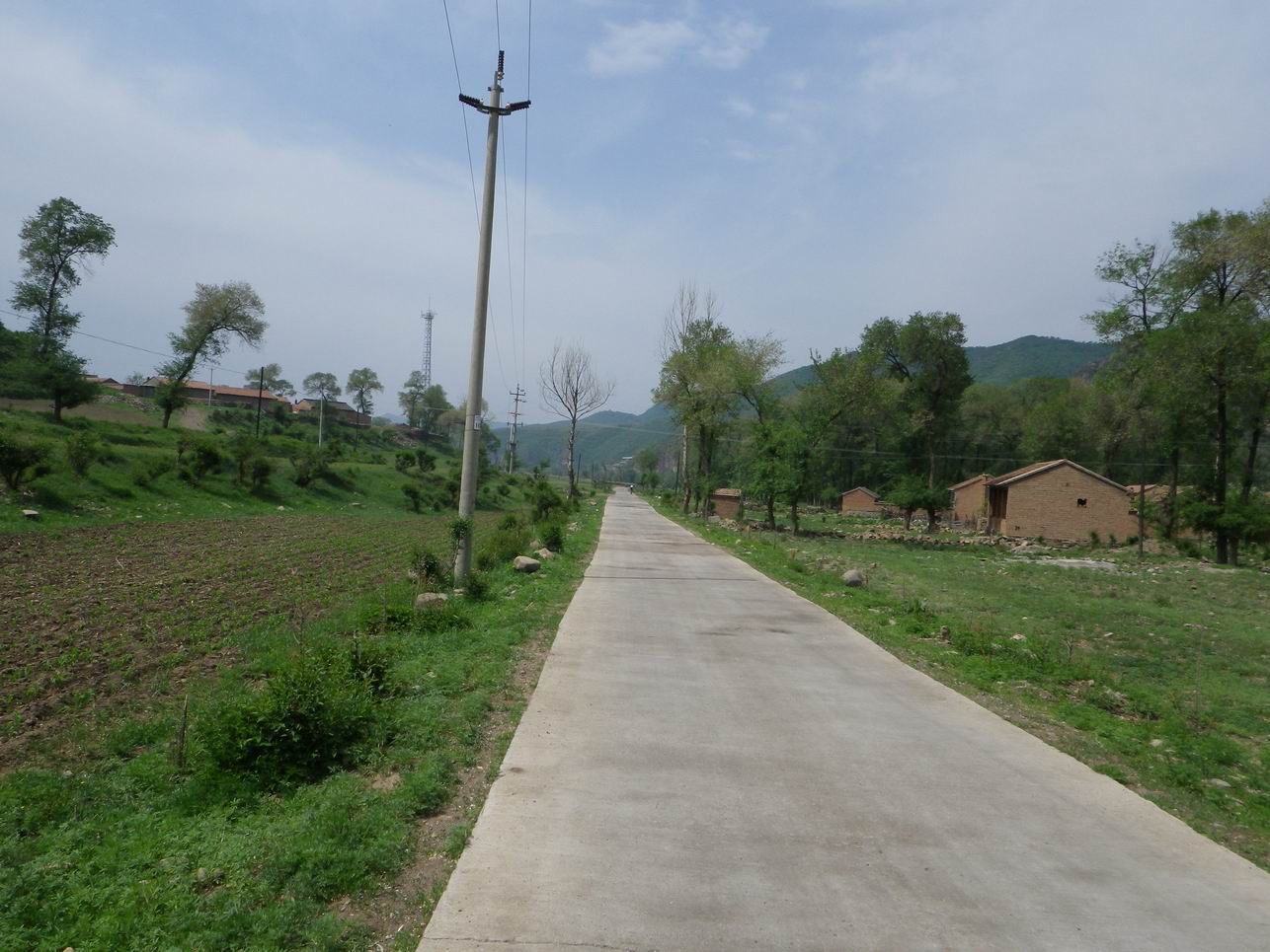 调整大小 IMGP0988.JPG