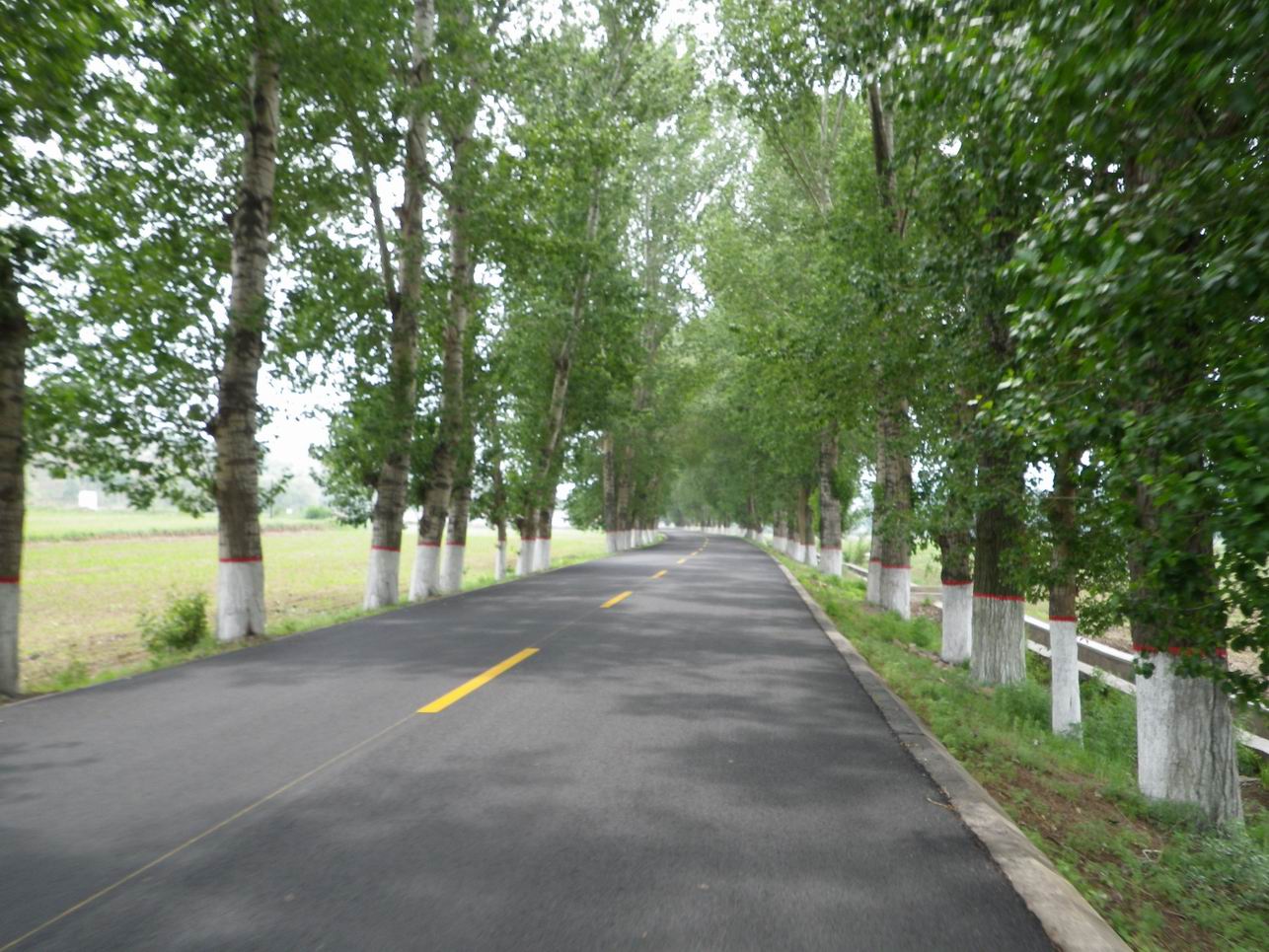 调整大小 IMGP1009.JPG