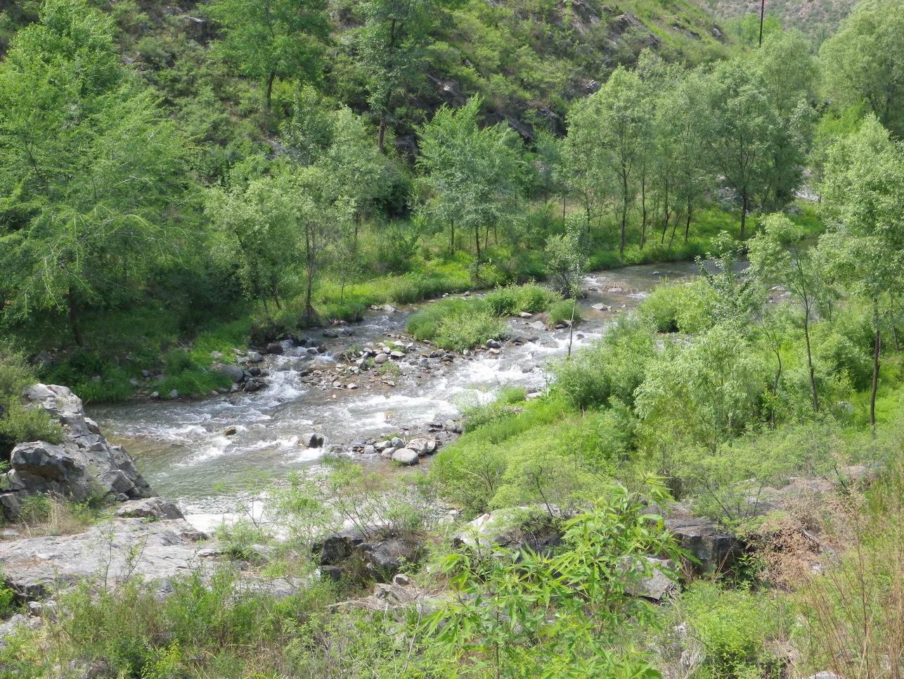 调整大小 IMGP1040.JPG