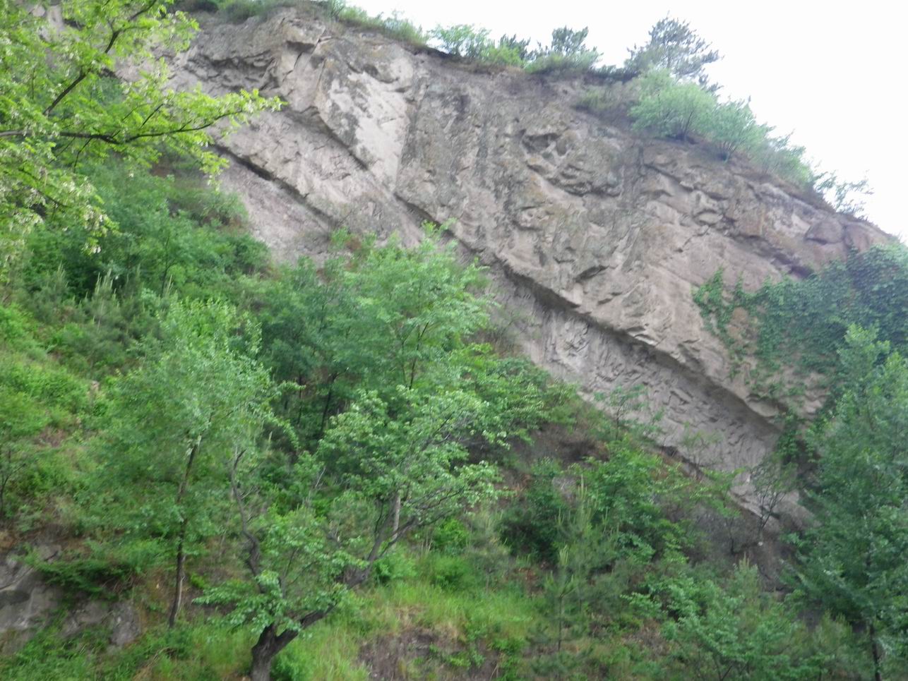 调整大小 IMGP1053.JPG