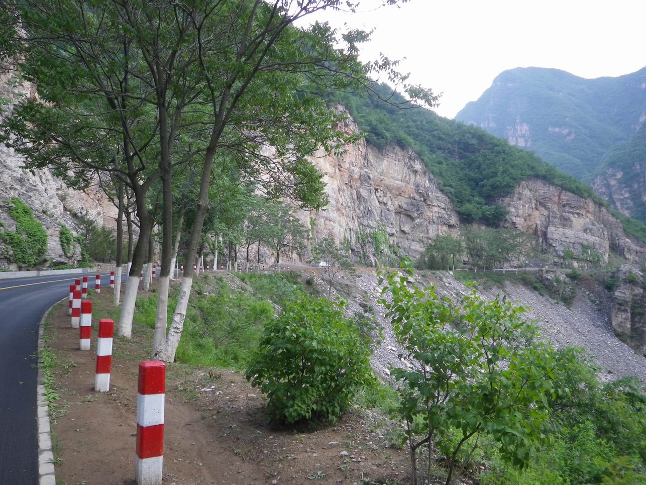 调整大小 IMGP1063.JPG