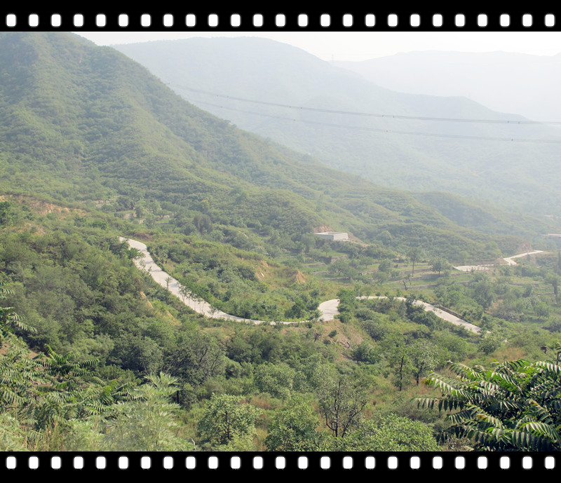 感觉像到了香山防火道