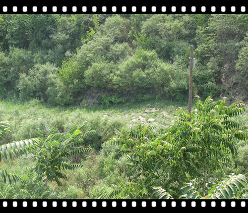 被岁月湮灭的古道