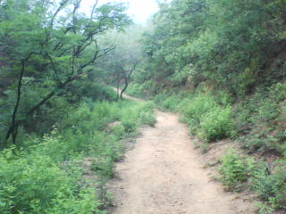 路很好，就是热