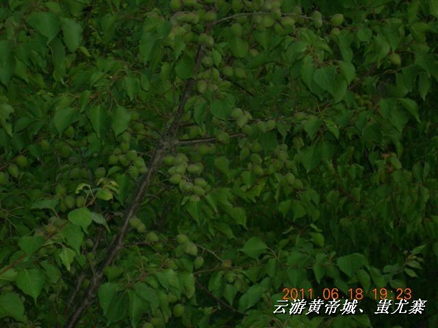 BigBull_6.18 延庆骑游大会 375.jpg