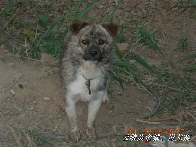 BigBull_6.18 延庆骑游大会 418.jpg