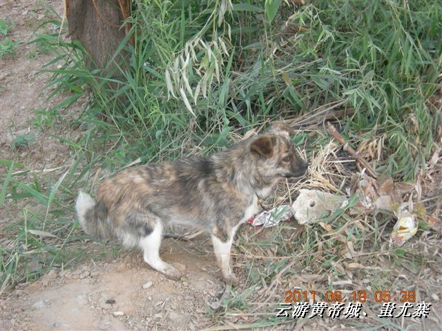 BigBull_6.18 延庆骑游大会 419.jpg