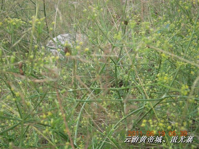 BigBull_6.18 延庆骑游大会 420.jpg