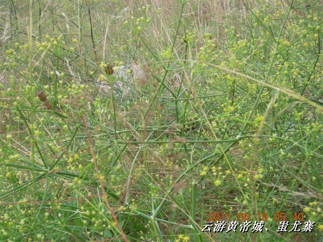 BigBull_6.18 延庆骑游大会 421.jpg