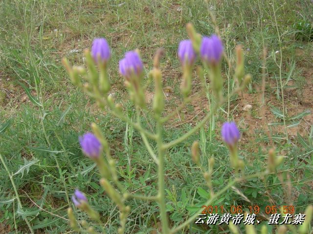 BigBull_6.18 延庆骑游大会 453.jpg