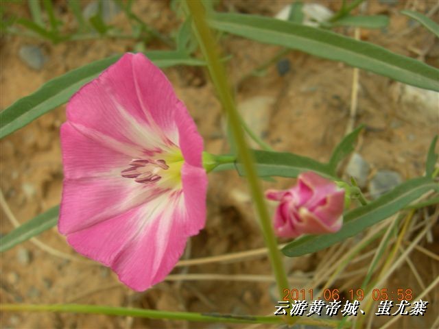 BigBull_6.18 延庆骑游大会 451.jpg