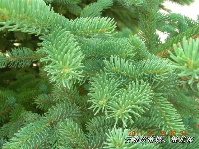 BigBull_6.18 延庆骑游大会 461.jpg