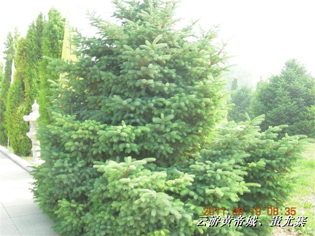 BigBull_6.18 延庆骑游大会 462.jpg