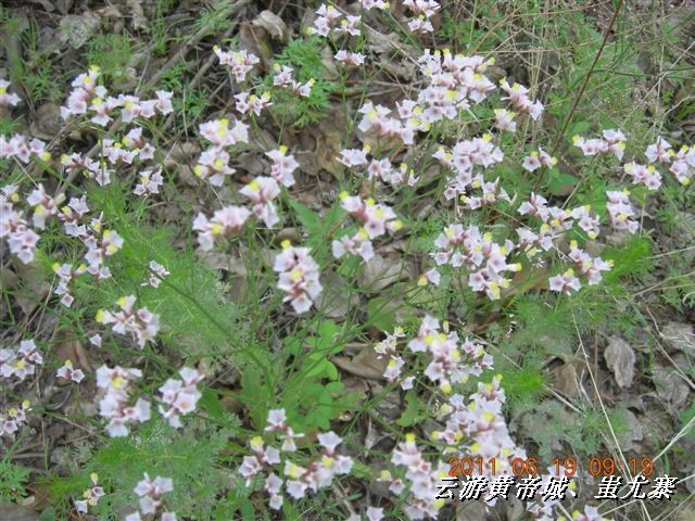 BigBull_6.18 延庆骑游大会 512.jpg