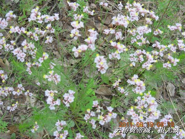 BigBull_6.18 延庆骑游大会 513.jpg