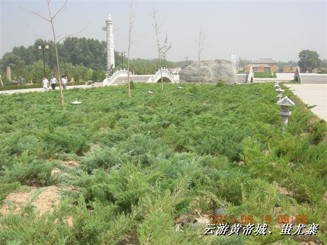 BigBull_6.18 延庆骑游大会 549.jpg