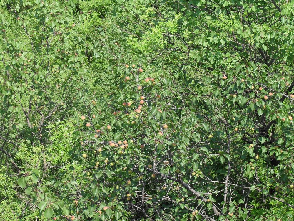 调整大小 SDC11791.JPG