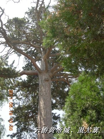 BigBull_6.18 延庆骑游大会 578.jpg