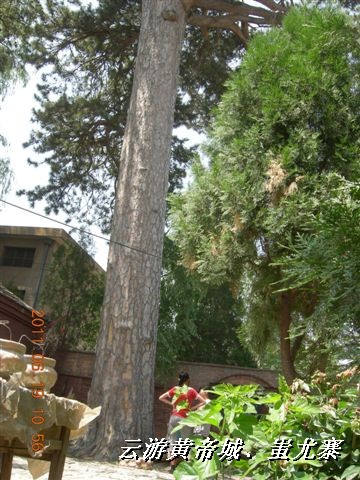 BigBull_6.18 延庆骑游大会 579.jpg