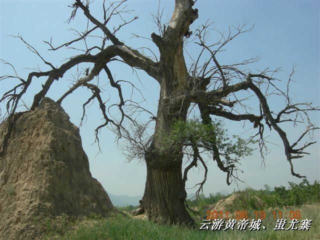 BigBull_6.18 延庆骑游大会 588.jpg