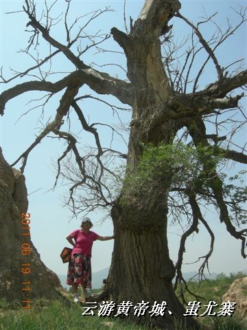 BigBull_6.18 延庆骑游大会 595.jpg