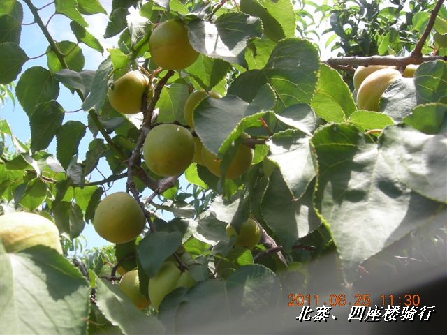 BigBull_6.25 平谷北寨骑行 063.jpg