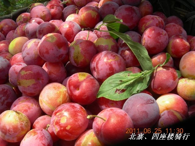 BigBull_6.25 平谷北寨骑行 064.jpg