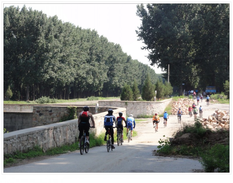 河边的树荫骑行