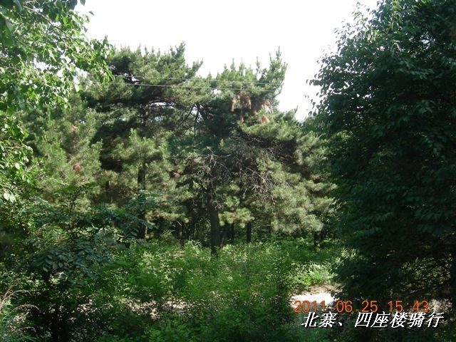 BigBull_6.25 平谷北寨骑行 108.jpg