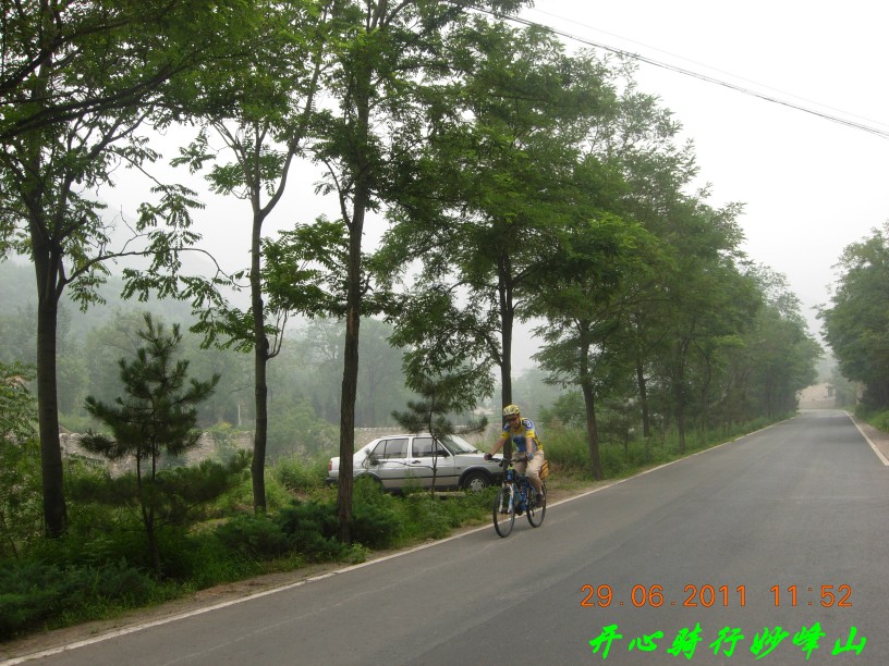 咱们坛子里的布丁