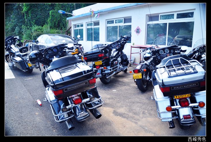哈雷.jpg