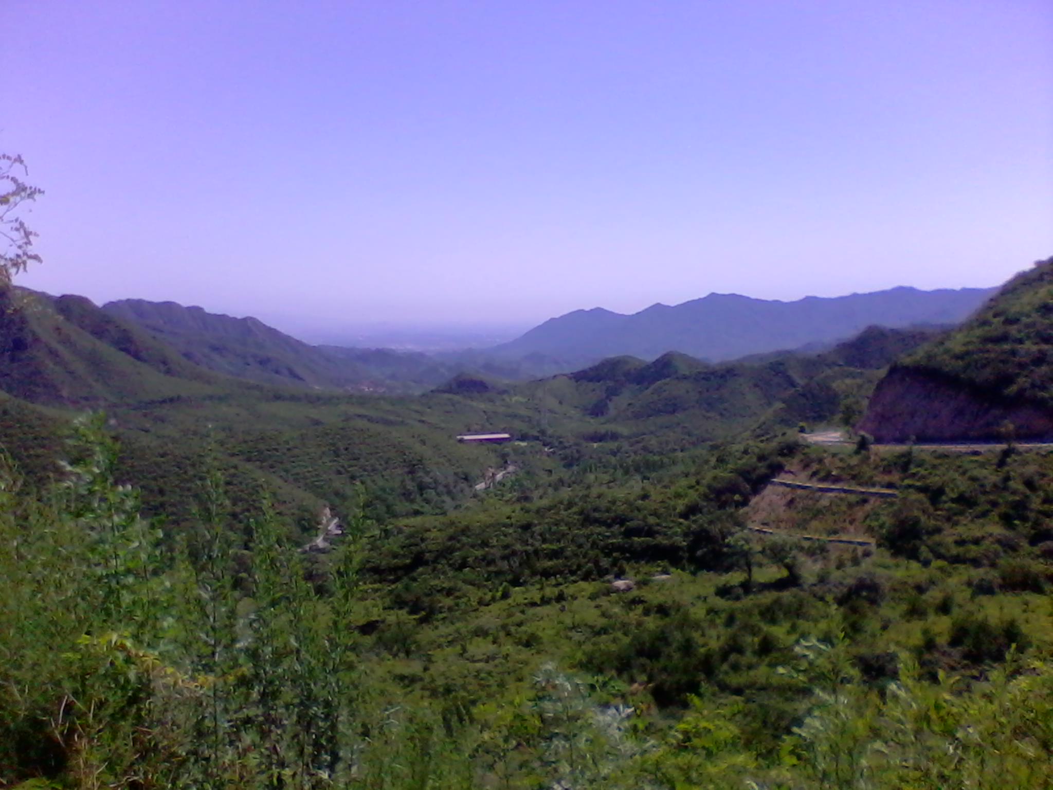 2011-07-09 10.50.49.jpg