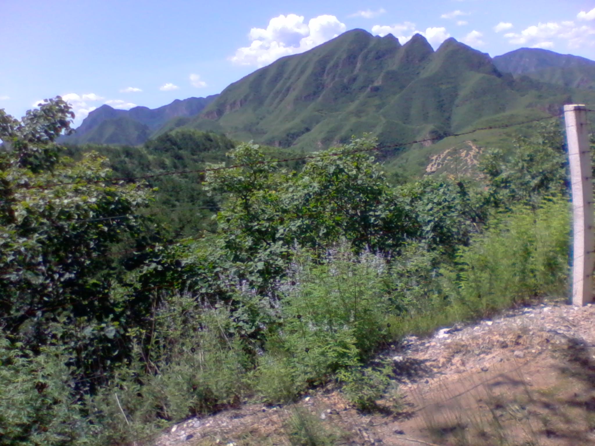 2011-07-09 11.37.19.jpg