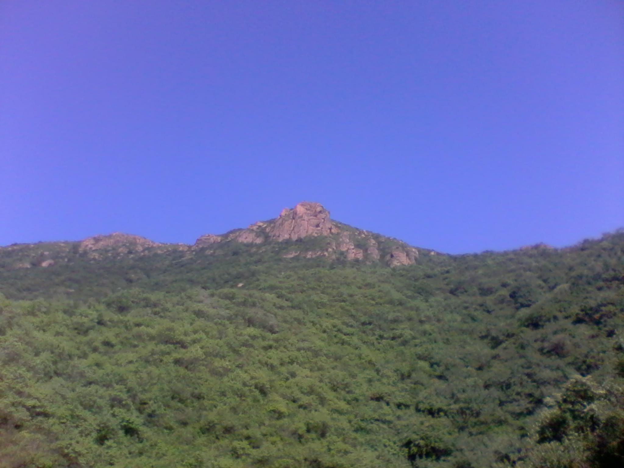 2011-07-09 16.18.51.jpg