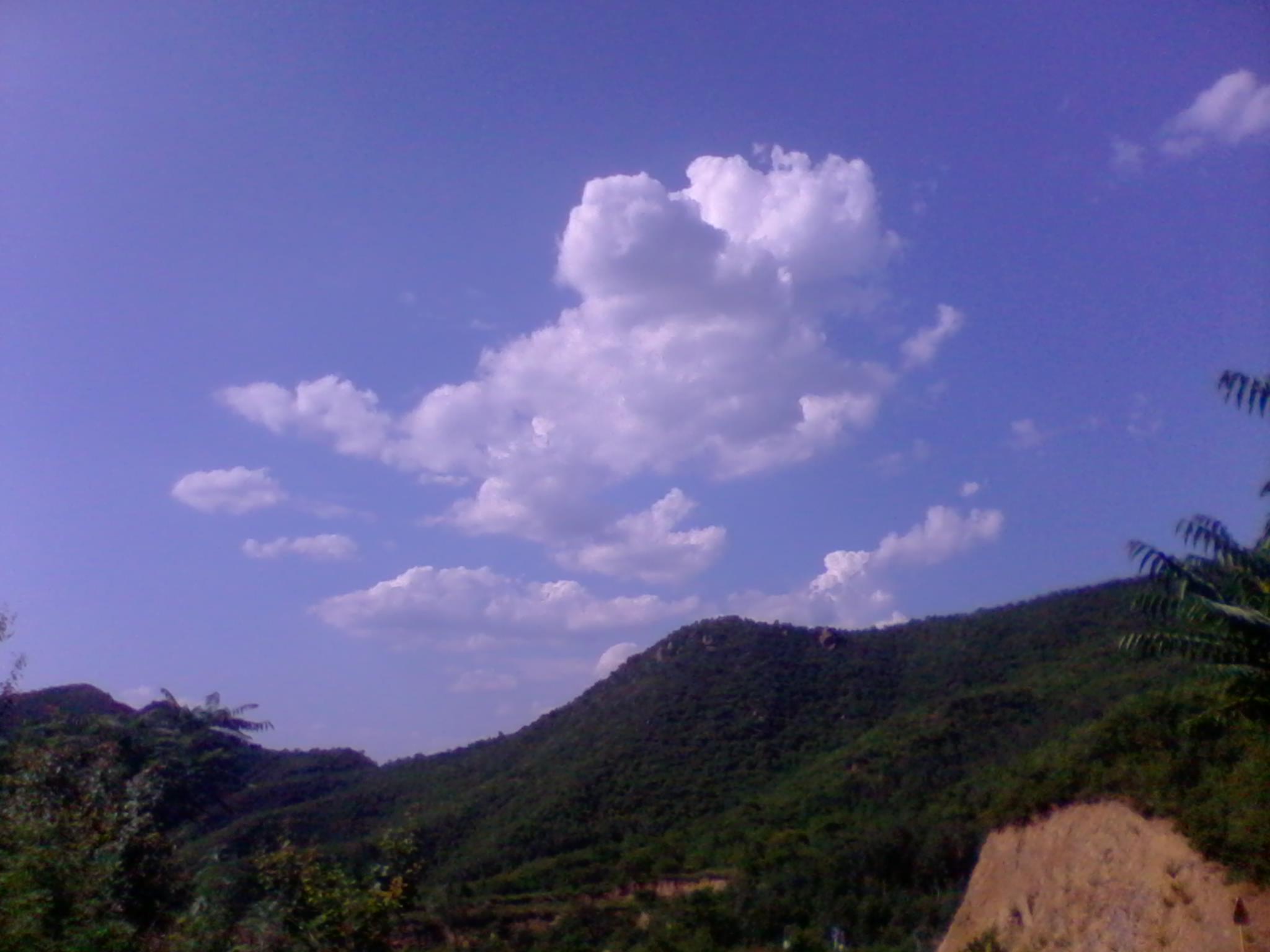 2011-07-09 16.19.08.jpg