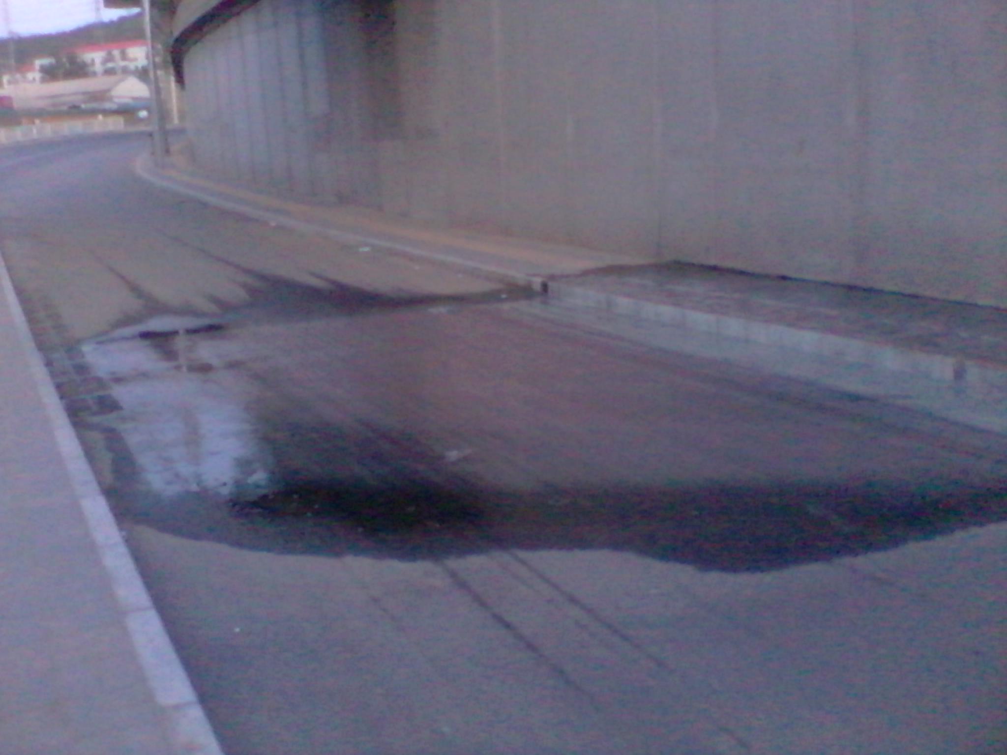 2011-07-09 19.56.00.jpg