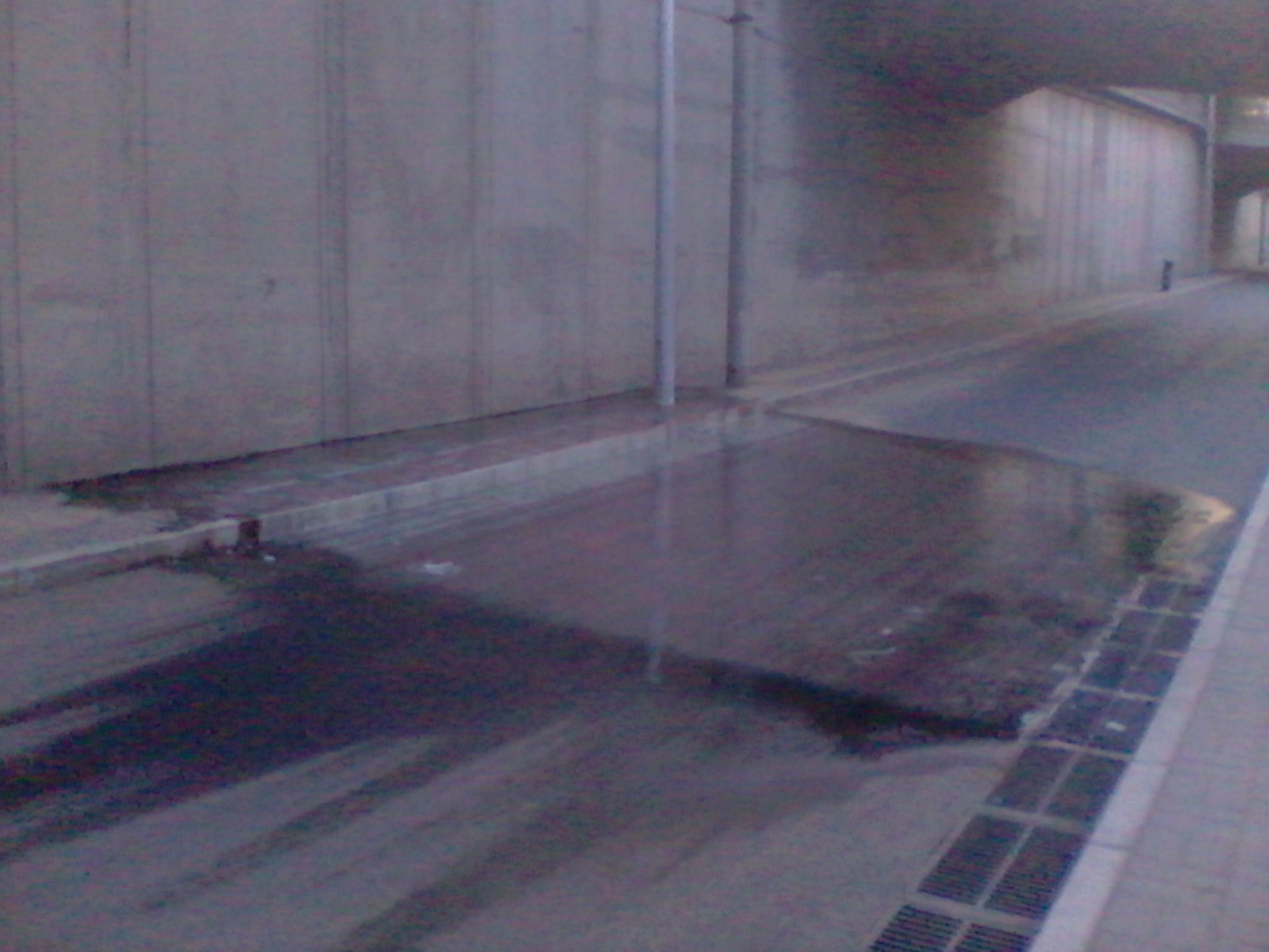 2011-07-09 19.56.49.jpg