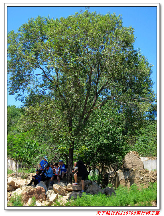 早到的队伍独占树荫