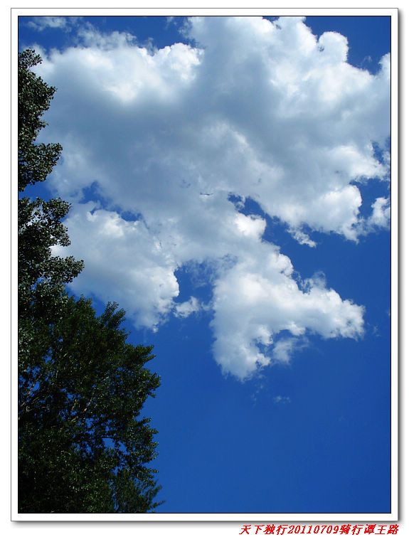 又见闲云，可惜没有野鹤