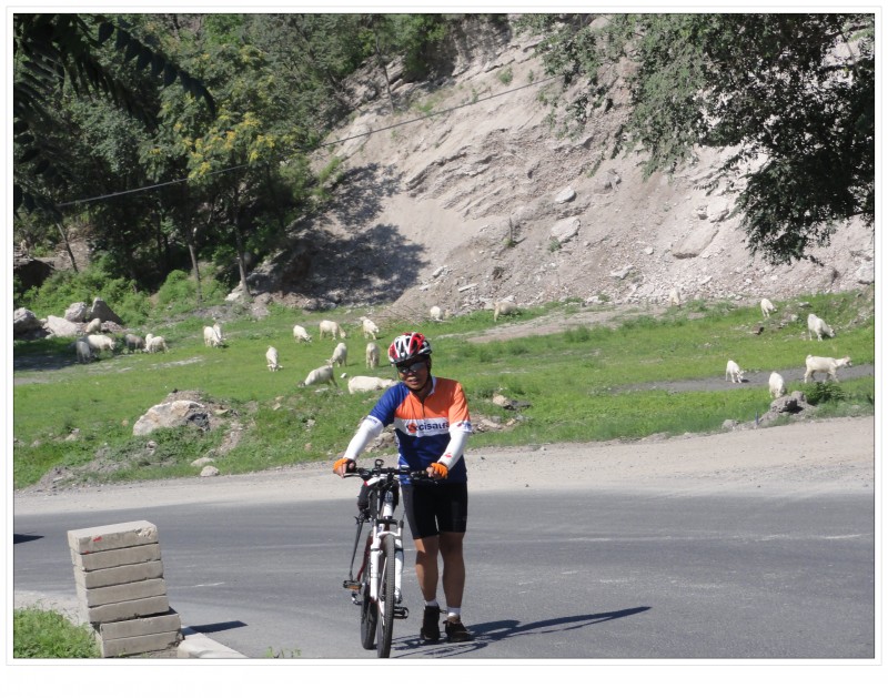 没记清名的车友