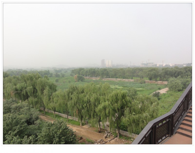 以前的沙厂变绿洲